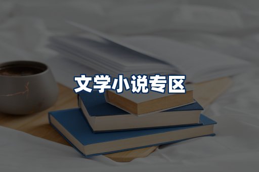 文学小说PDF展示